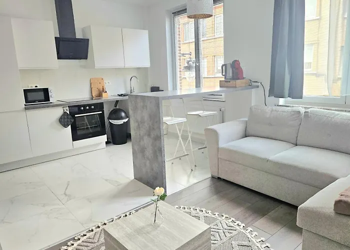 Brussels Apartment With Terrace 1